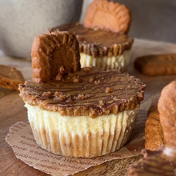 Lotus Biscoff cheesecake cupcakes 🧁 